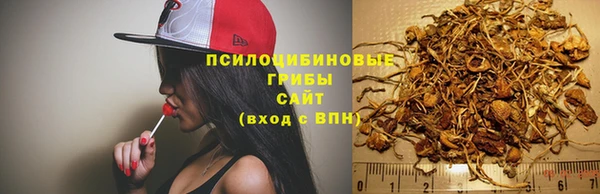 первитин Белоозёрский