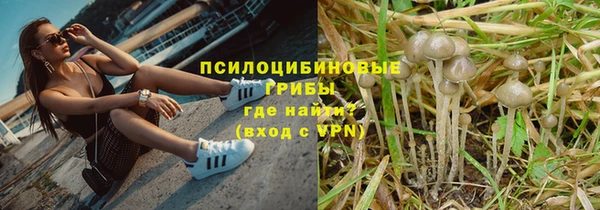 ALPHA PVP Беломорск