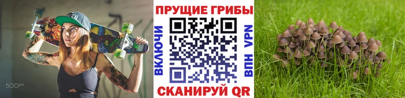 OMG зеркало  Валдай  Галлюциногенные грибы GOLDEN TEACHER  darknet наркотические препараты  наркота 